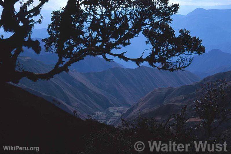 Cutervo National Park