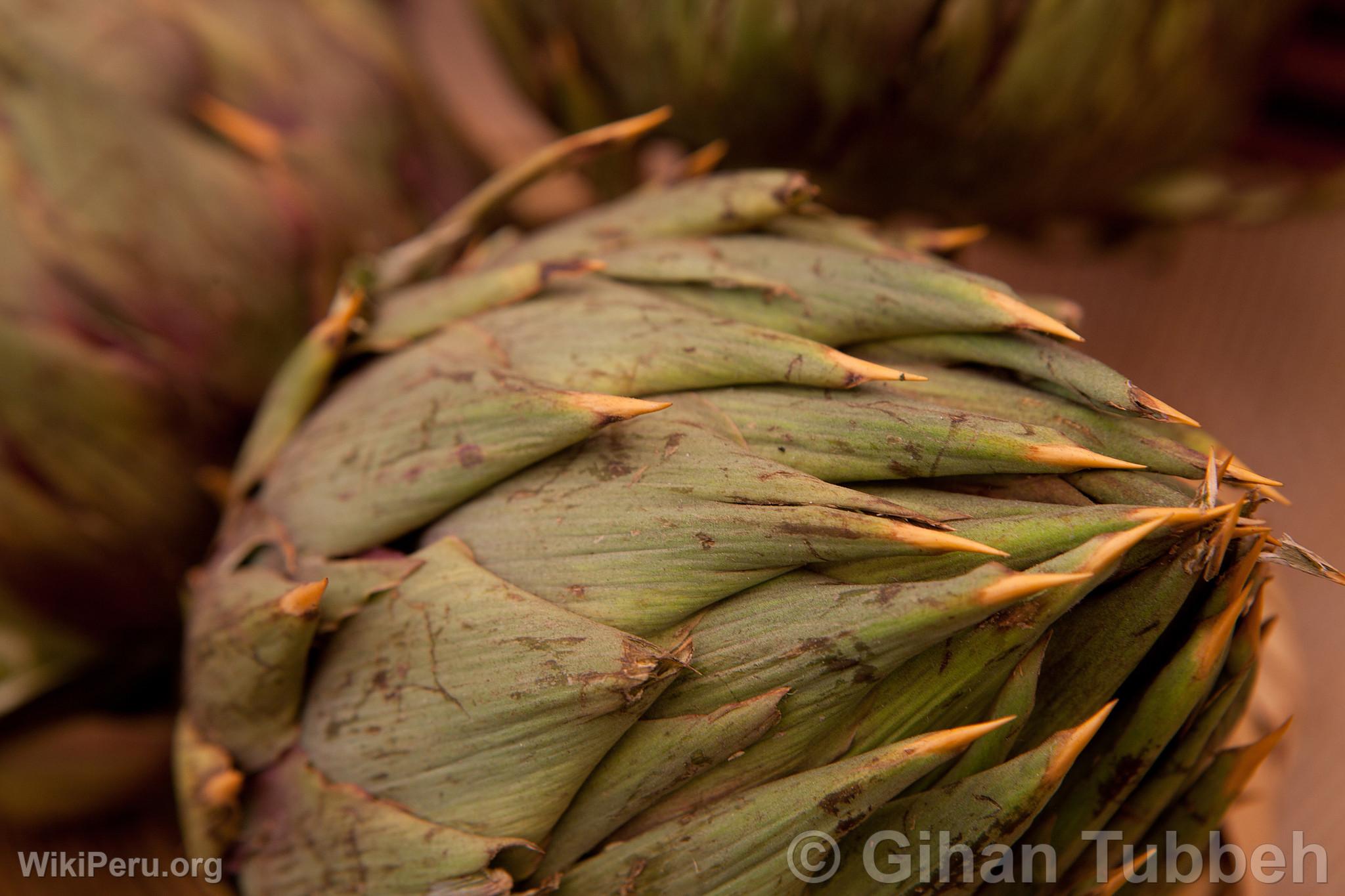 Artichokes