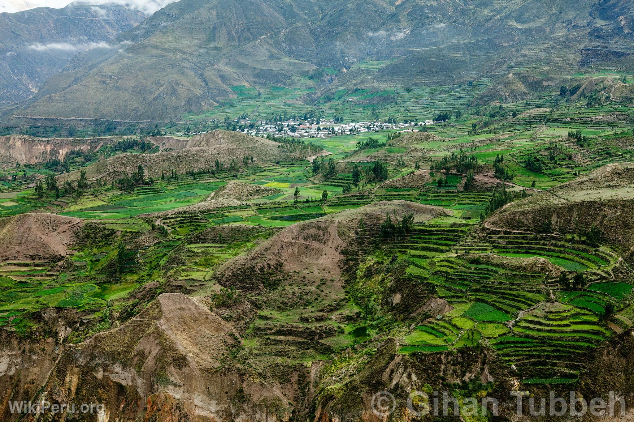 Colca Canyon