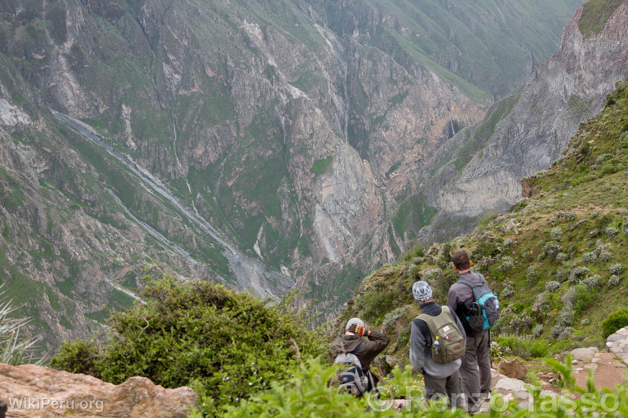 Tourists in the Colca