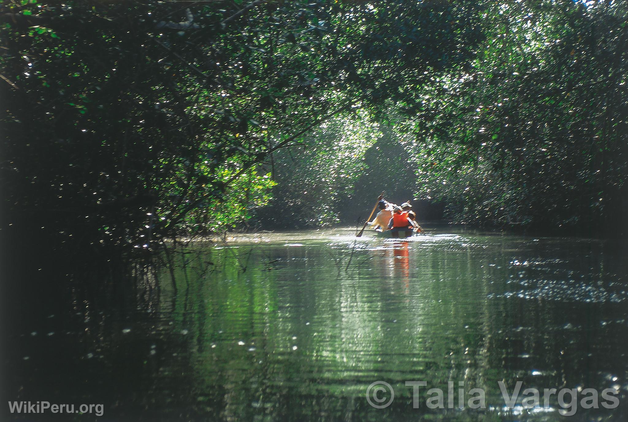 Tumbes Mangroves