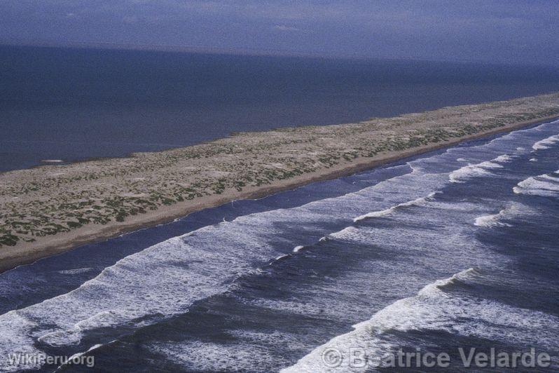 Sechura Desert, La Nia phenomenon