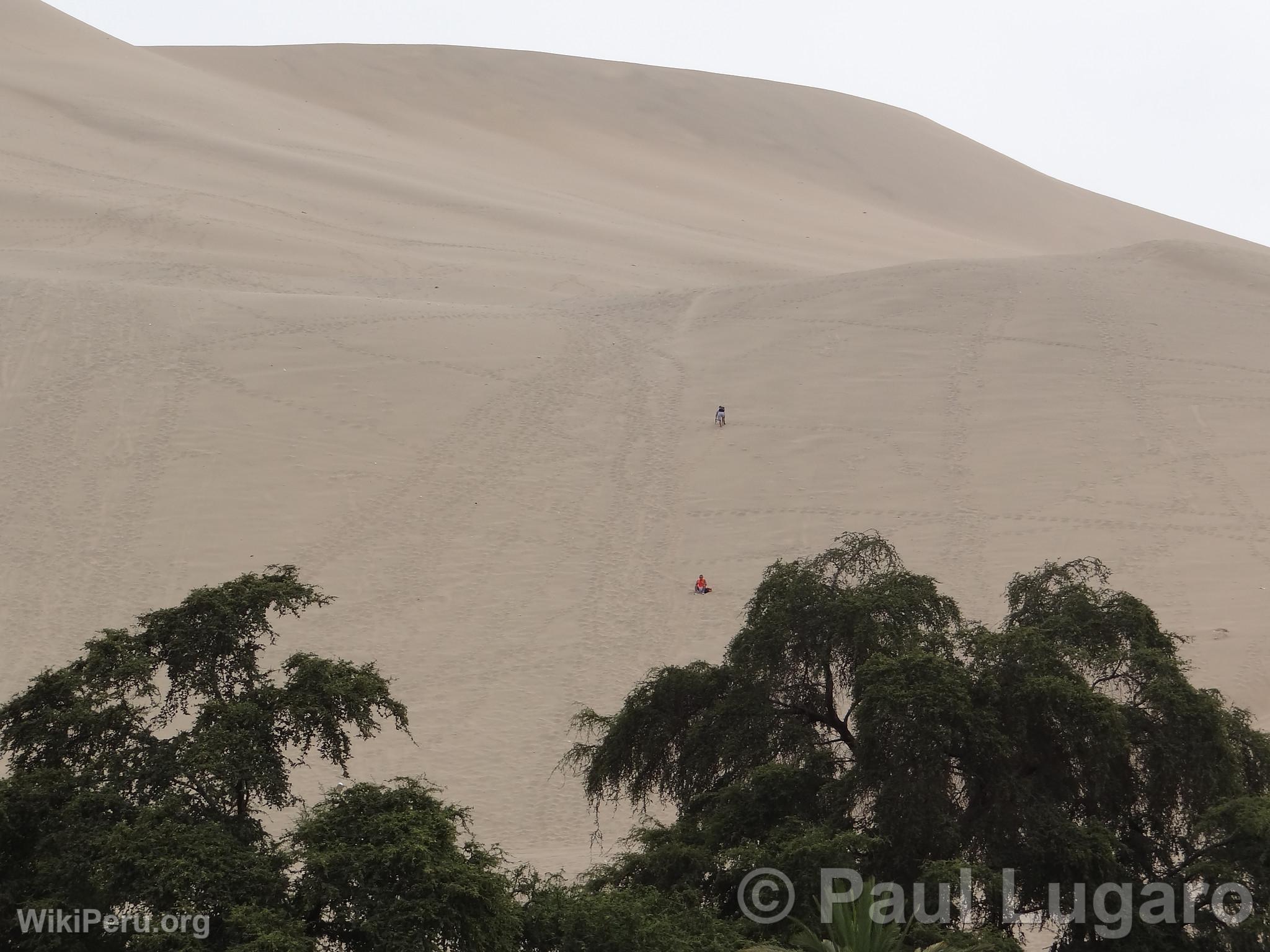 Huacachina