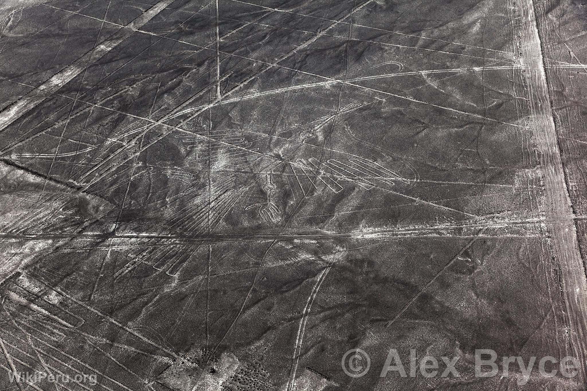 Nazca lines