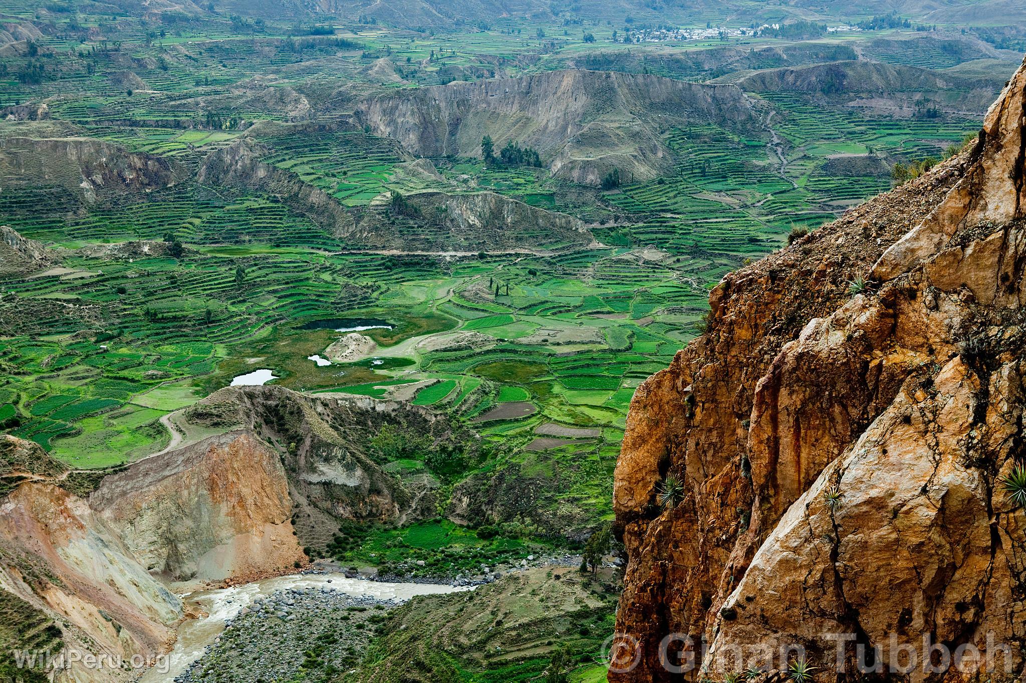 Colca Canyon