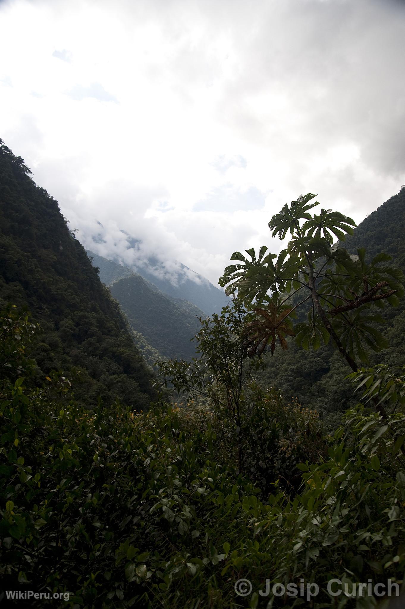 Oxapampa Landscape