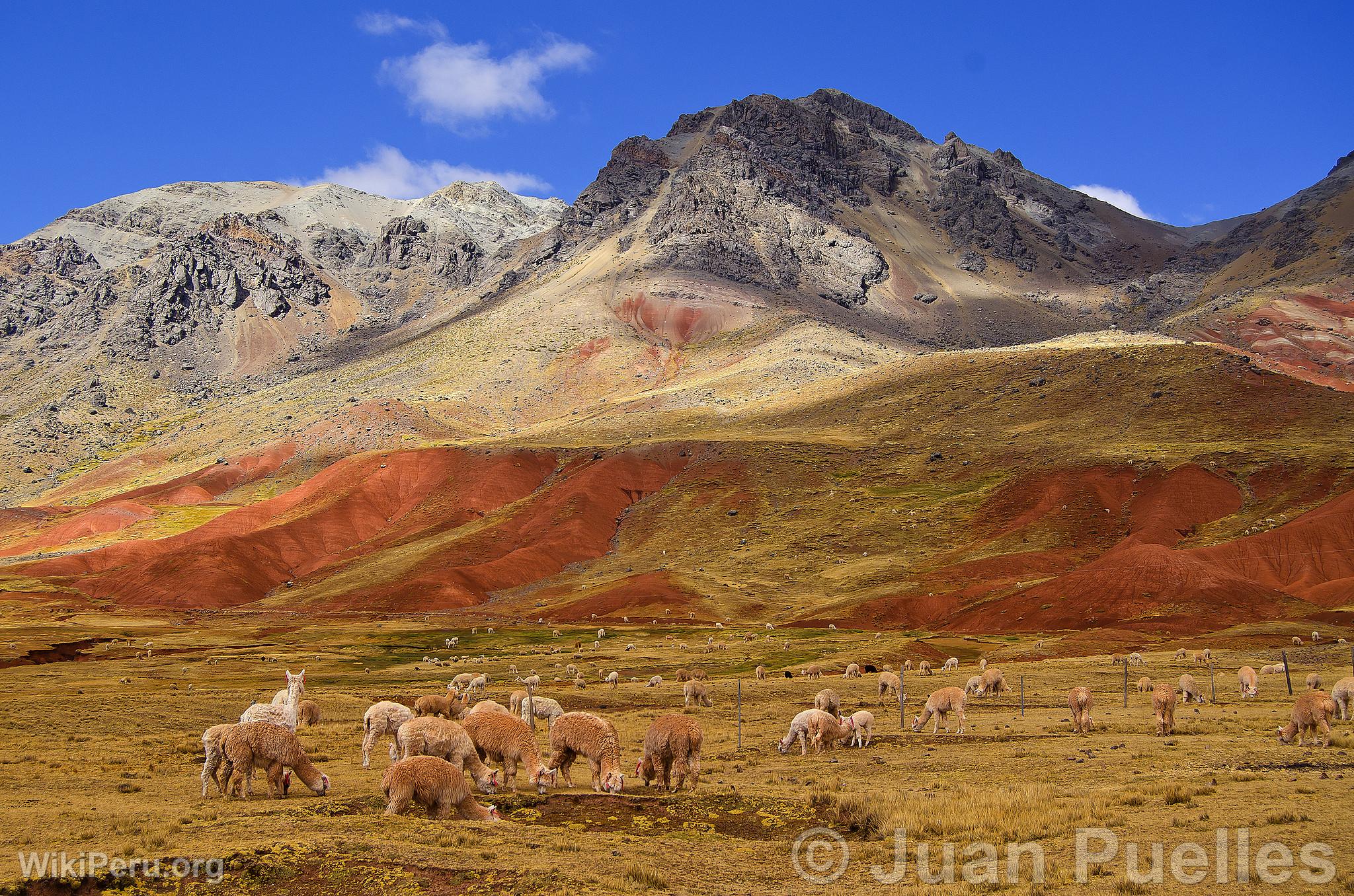 Pucapampa Landscape