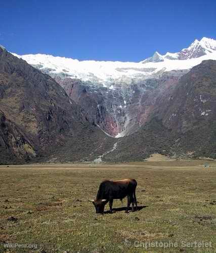 White Cordillera