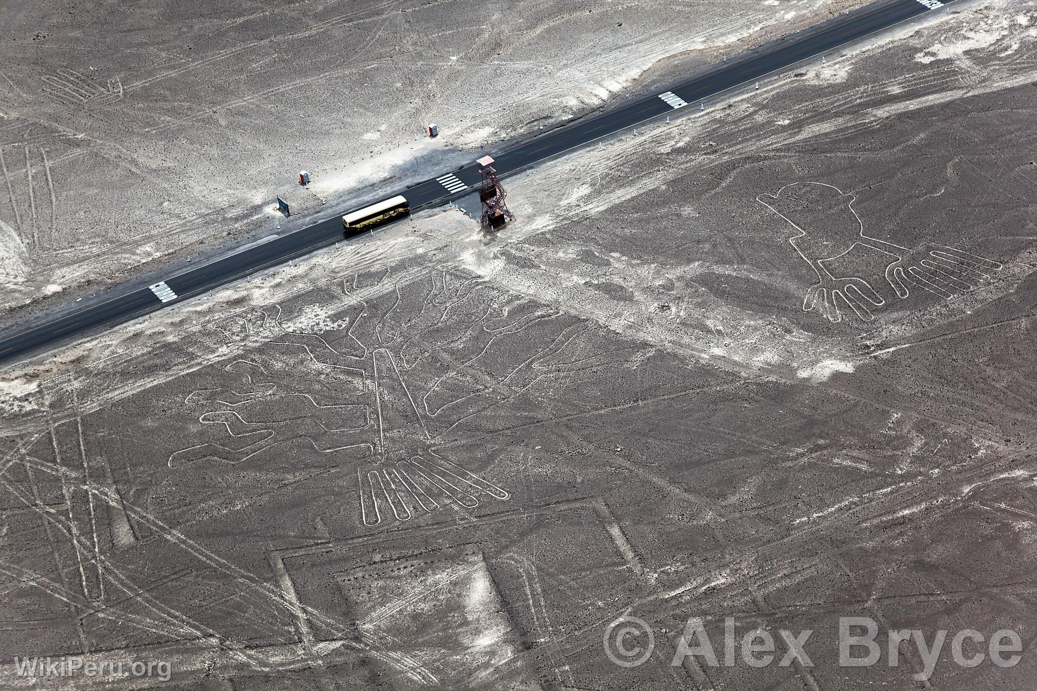 Nazca lines