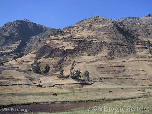 White Cordillera