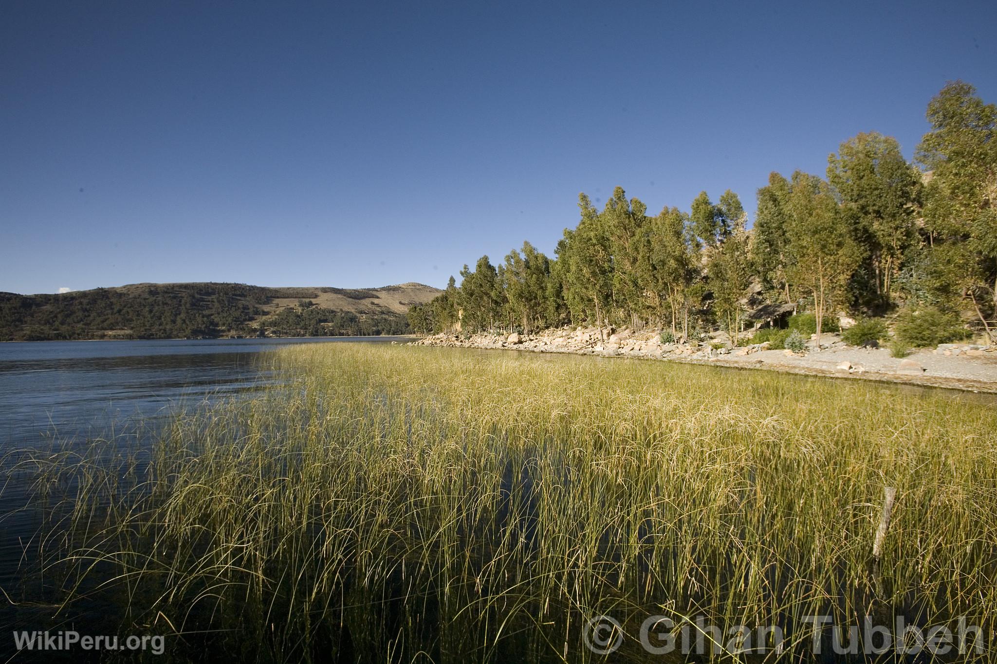 Suasi Island