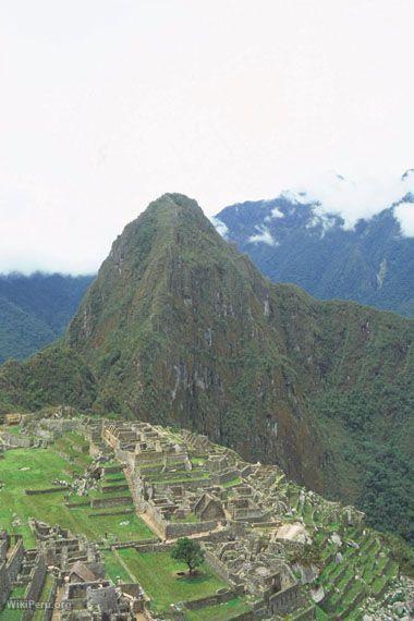 Machu Picchu