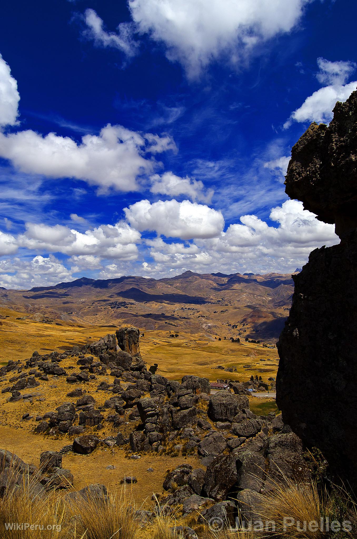 Sachapite Rock Forest