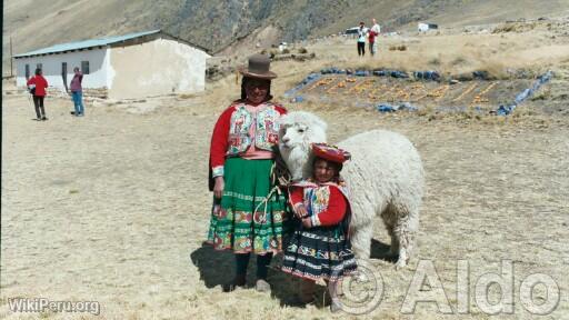 Trip Puno-Cuzco in train