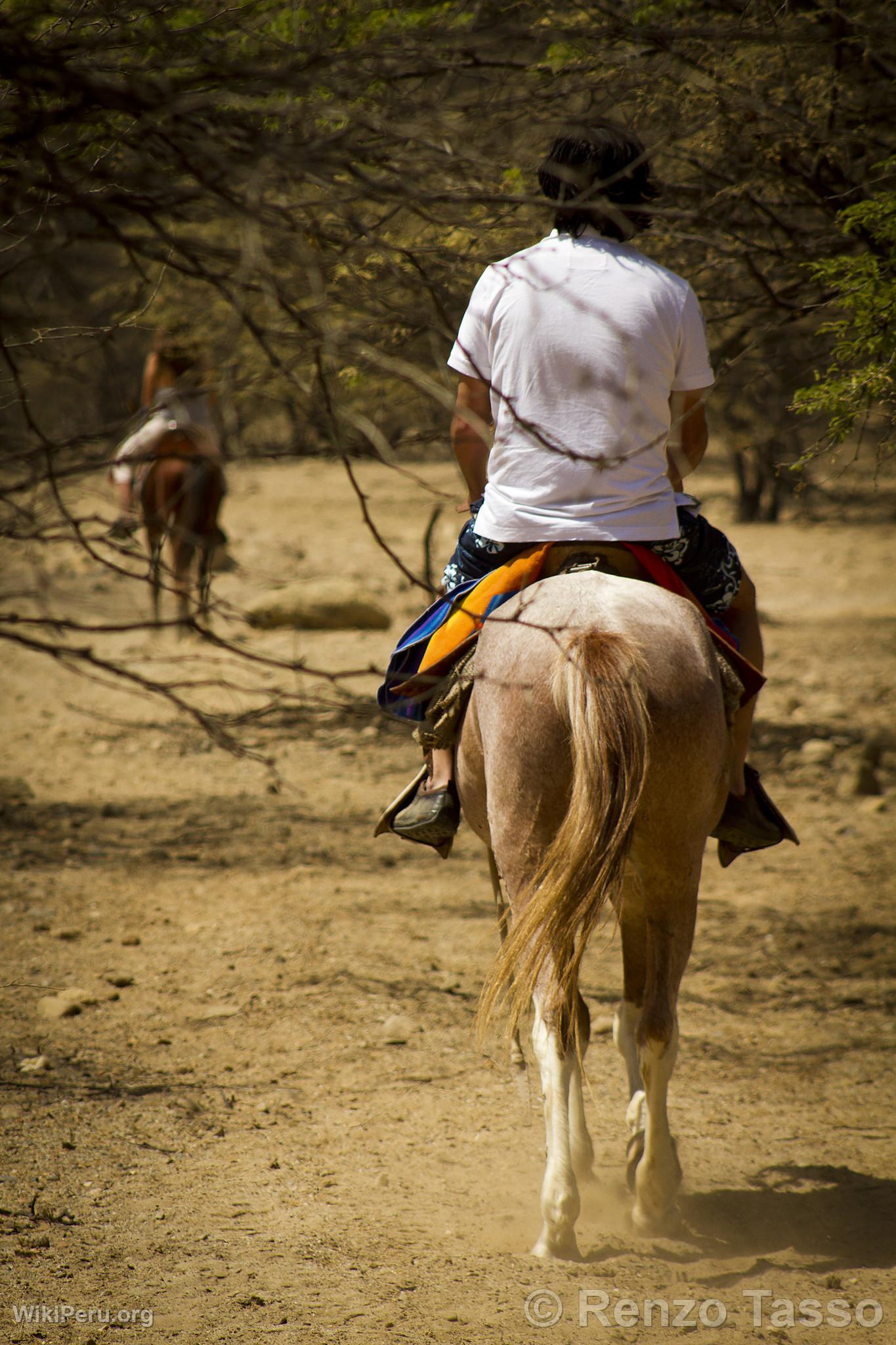 Horse Riding, Mncora