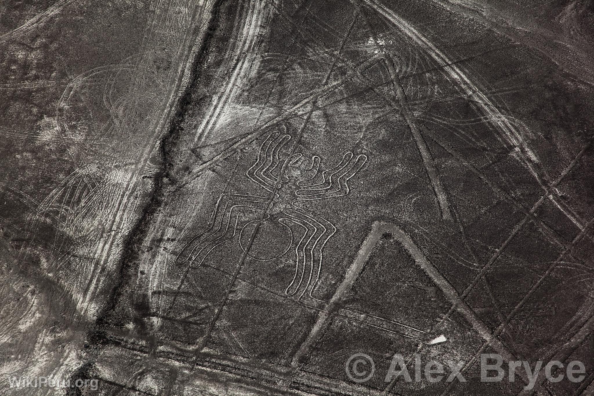 Nazca lines