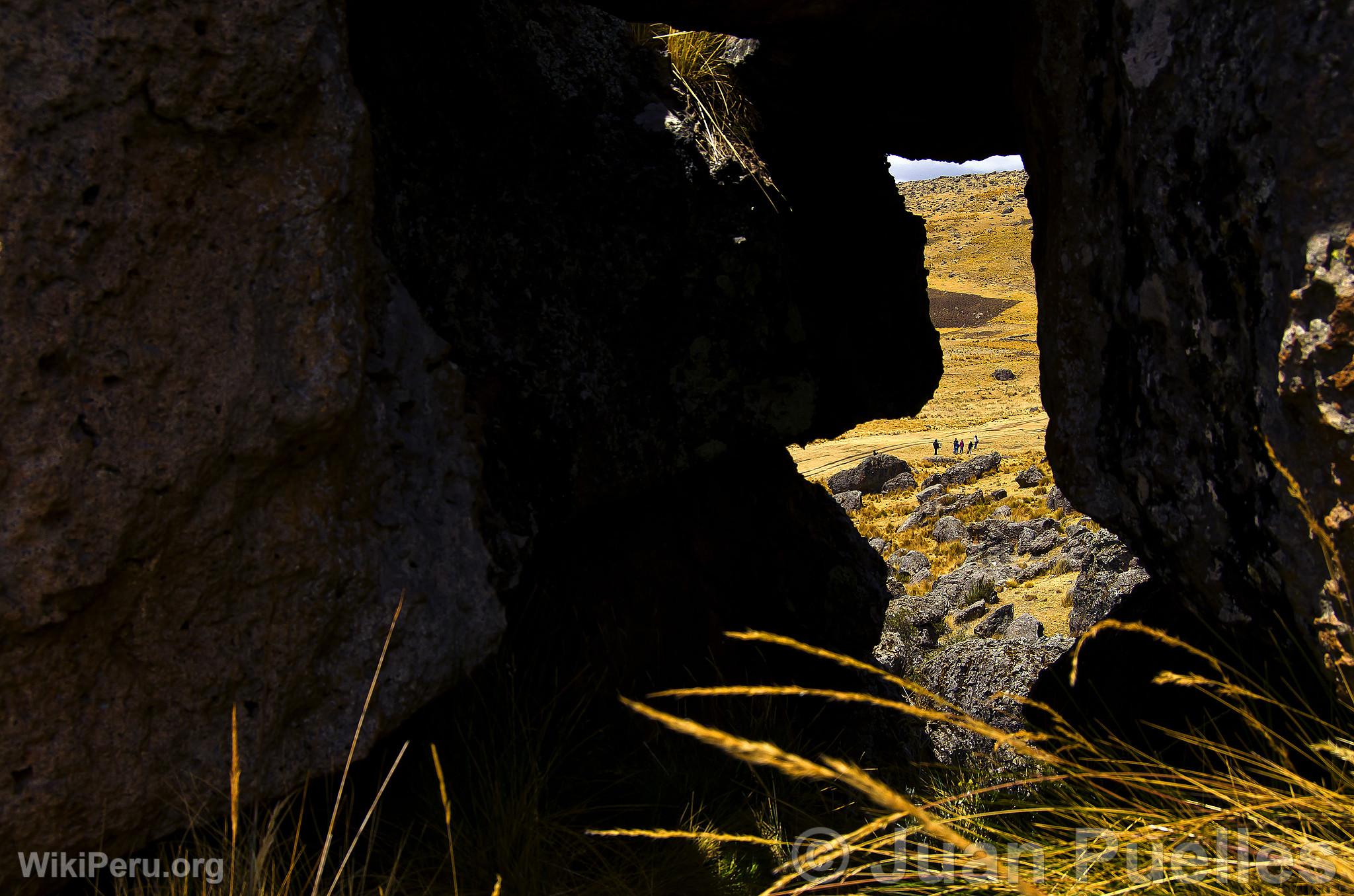 Sachapite Rock Forest