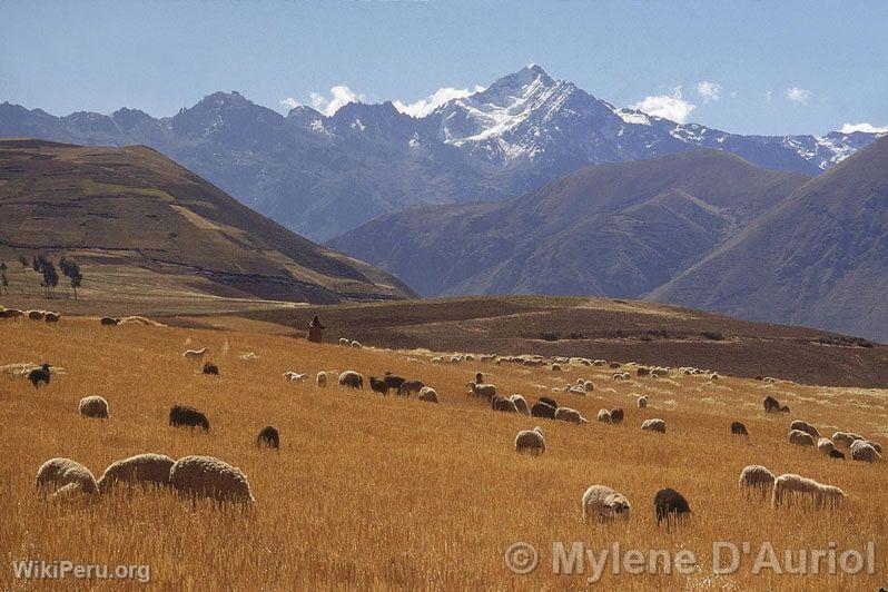 Path to Moray, Urubamba