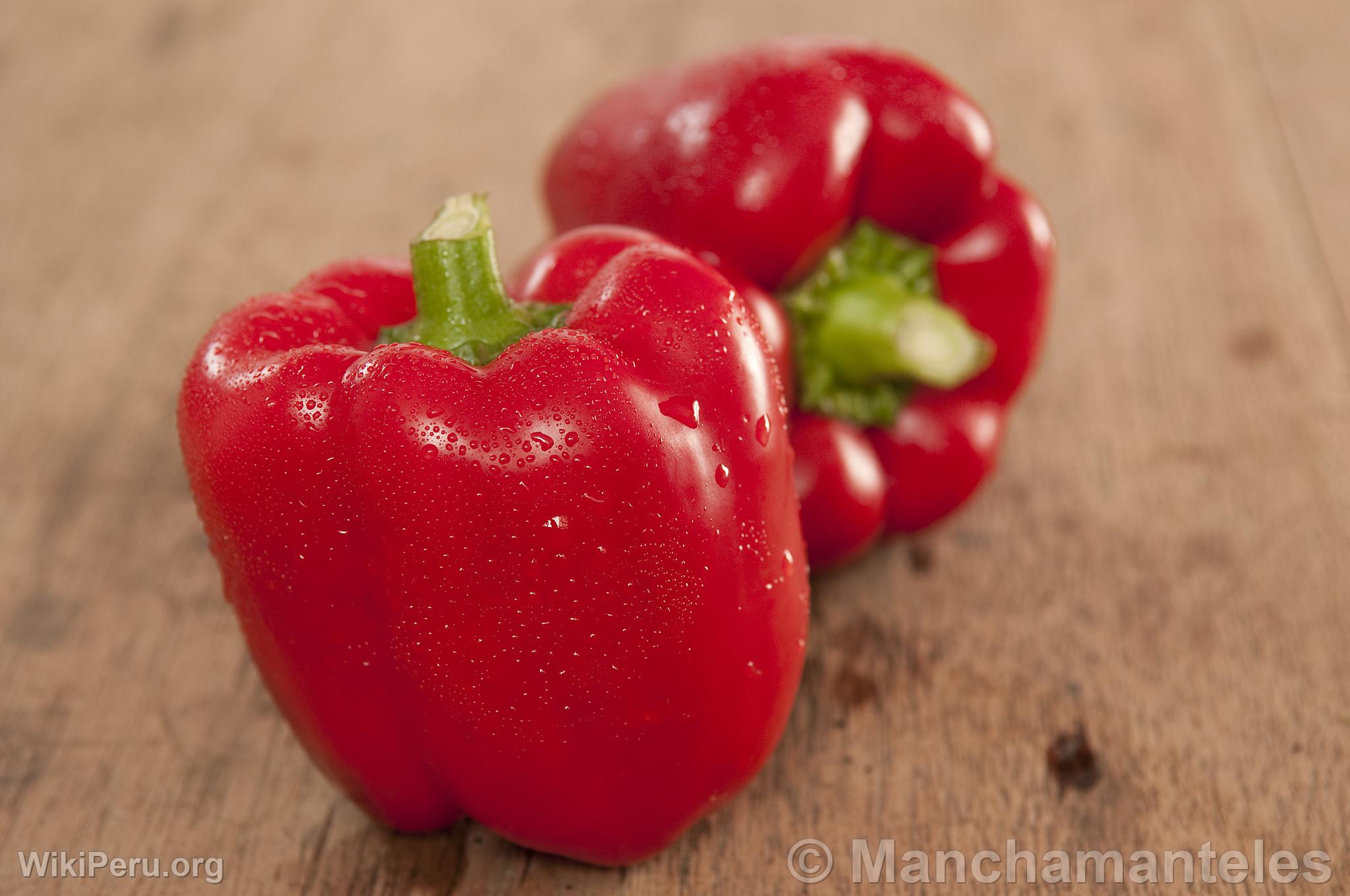 Bell Pepper