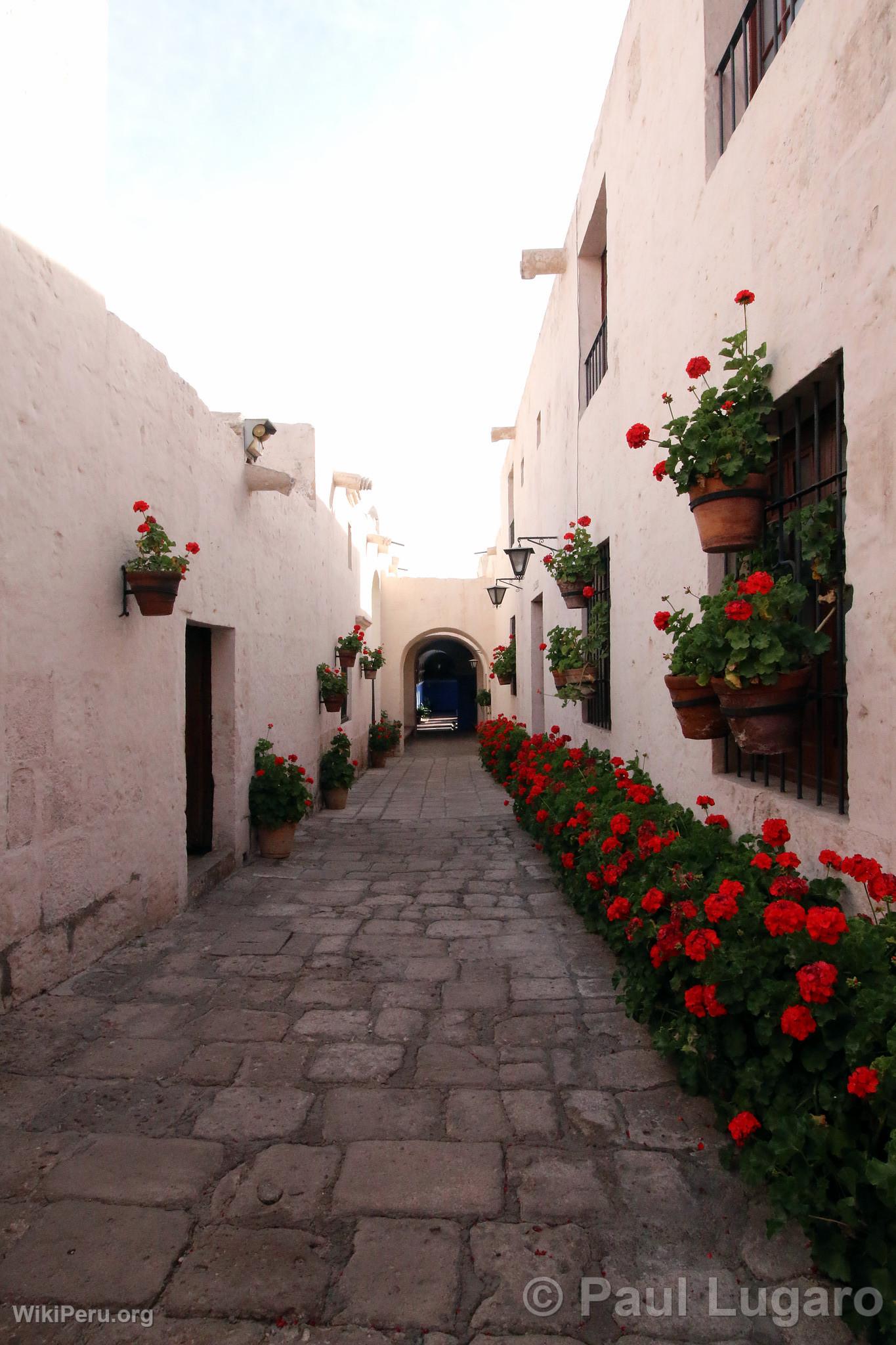 Santa Catalina Convent, Arequipa