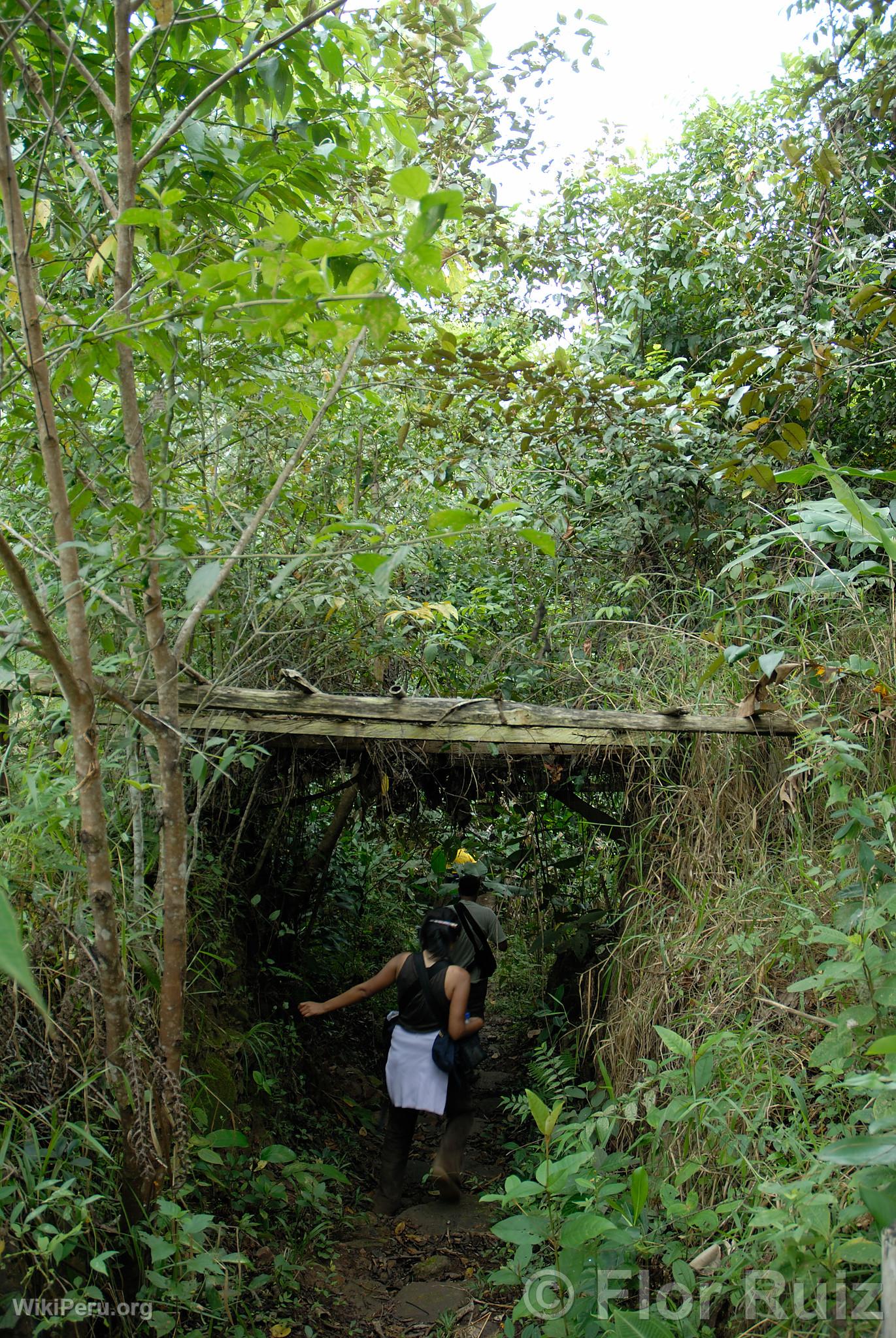 Urku Flora and Fauna Conservation Center