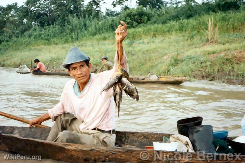 Fisherman on the Ucayali River