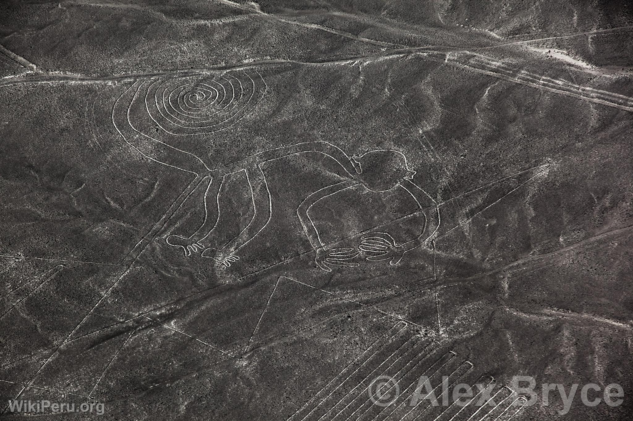 Nazca lines