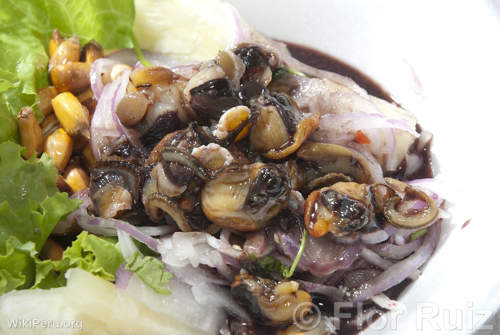 Black Shells Ceviche