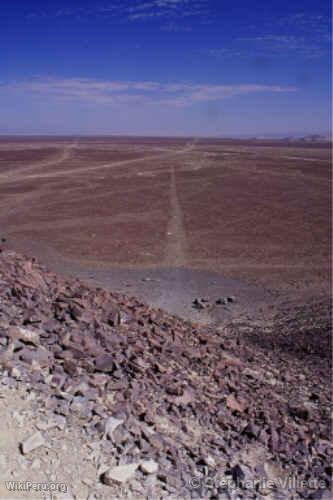 Nazca lines