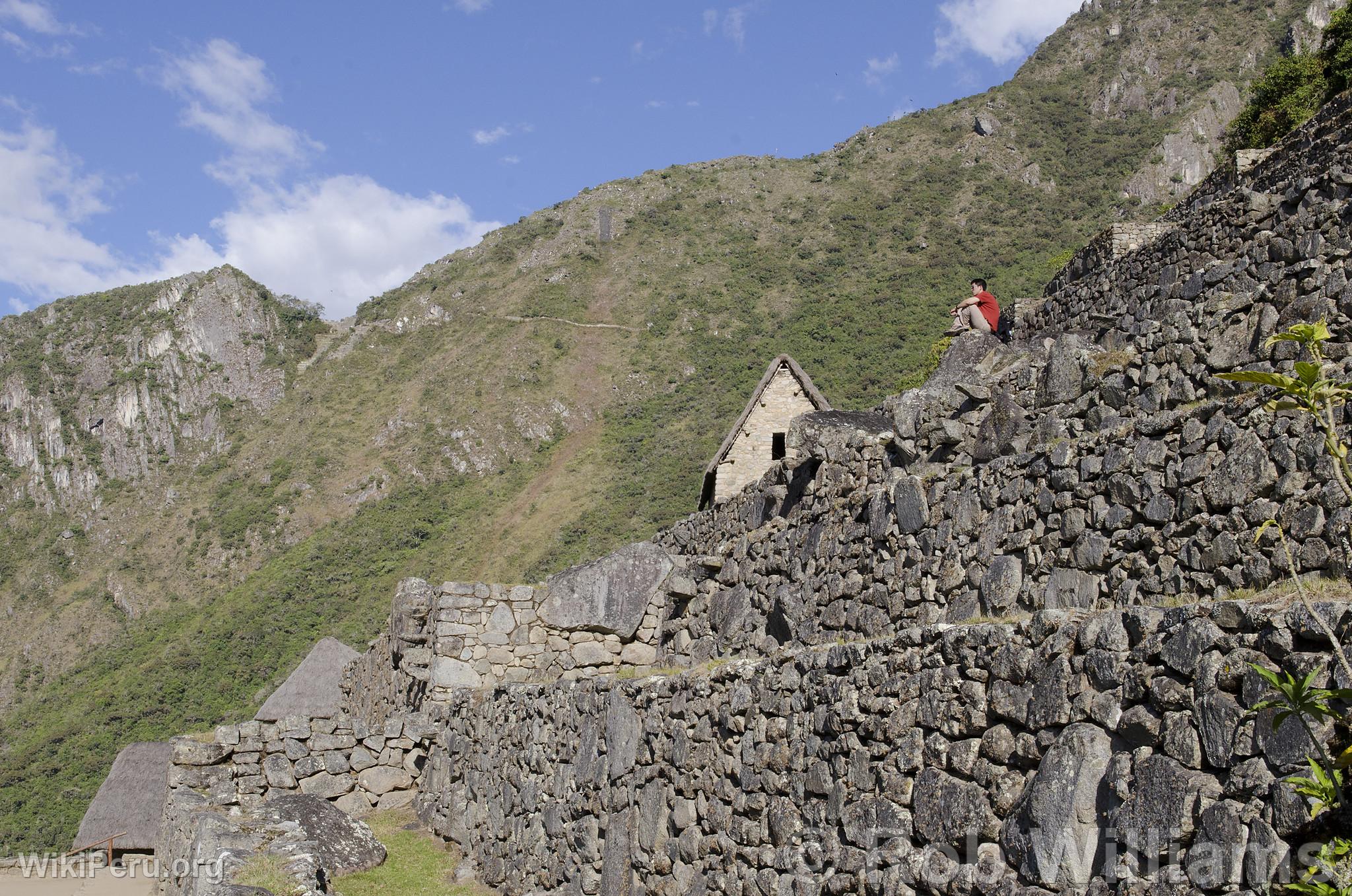 Tourist at Machu Picchu