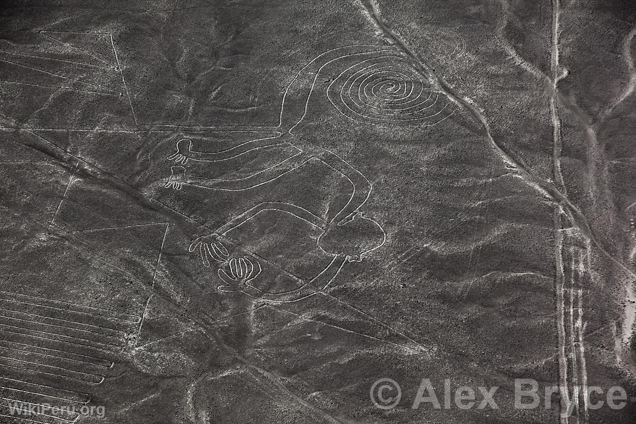 Nazca lines