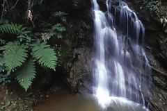 Waterfalls in Moyobamba