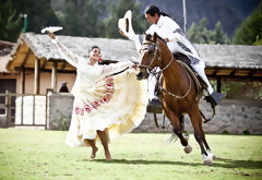 Marinera with Paso Horse