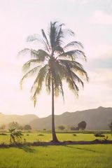 Village of Pueblo Nuevo-Bagua, Amazonas