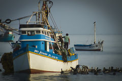 Fishing Boats