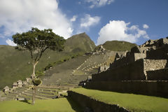 Citadel of Machu Picchu