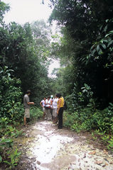 Allpahuayo Mishana National Reserve