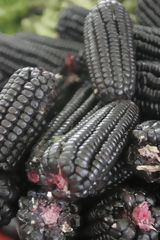 Purple Corn