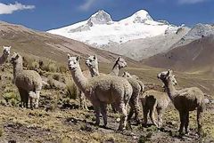 Pariacaca Snow-capped Mountain in Huarochir