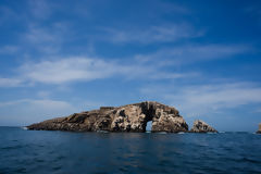 Islet of Palomino Islands, Callao