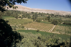 Torata Countryside