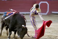 Bullfight, Lima