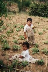 Ecological farming field, Hunuco