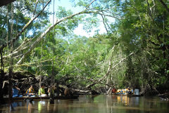 Tingana Reserve