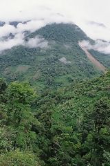 Yanachaga-Chemilln National Park