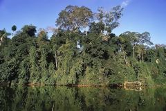 Manu Biosphere Reserve. Cuzco-Madre de Dios