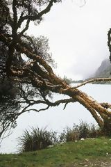 Ancash landscape