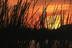 Meja Lagoons National Sanctuary