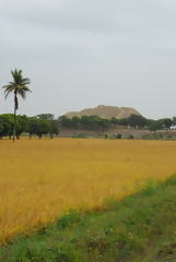 Valley of the Pyramids of Tcume