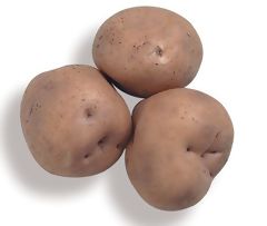 Potato